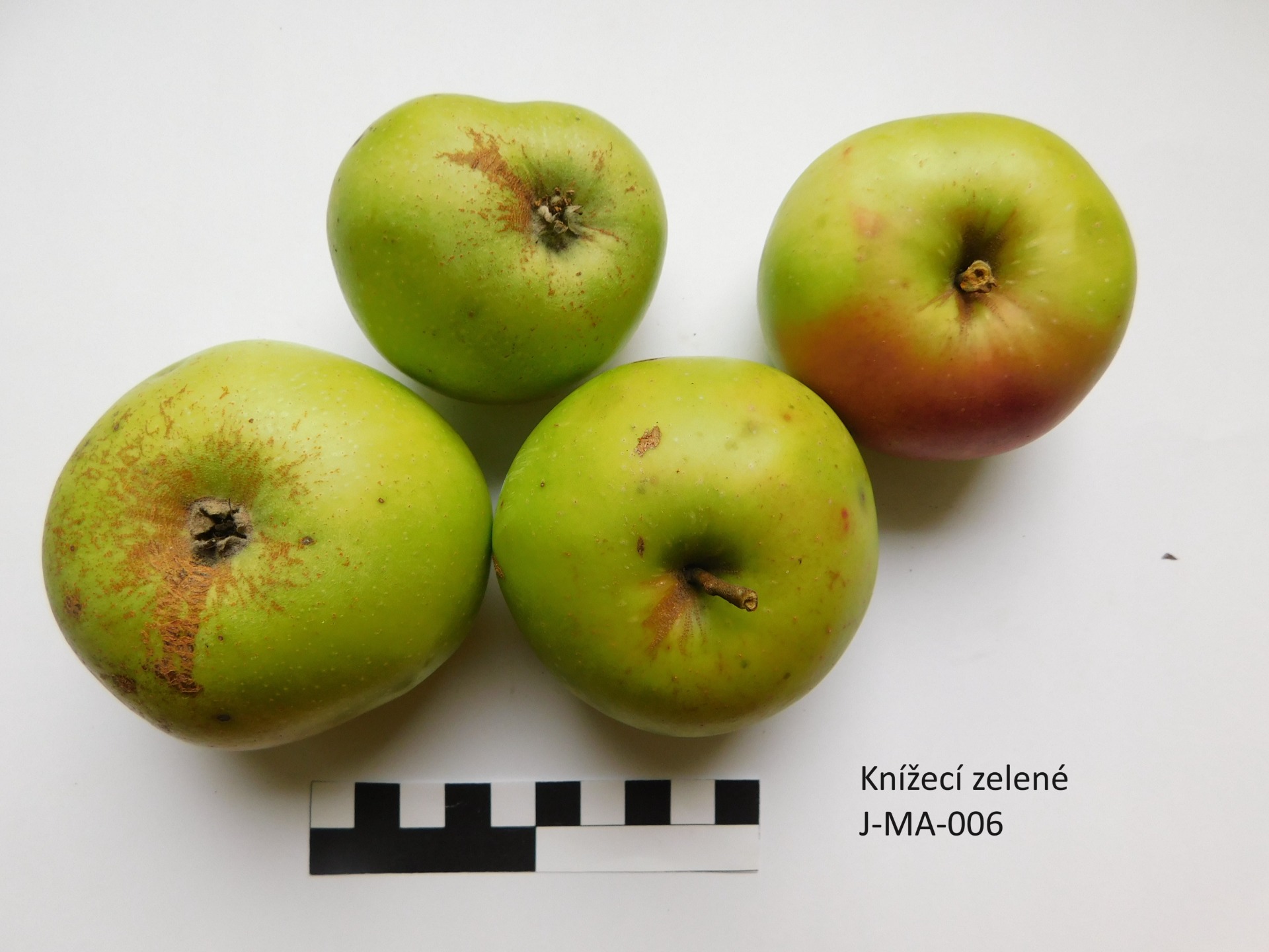 Knížecí zelené (JMA006)